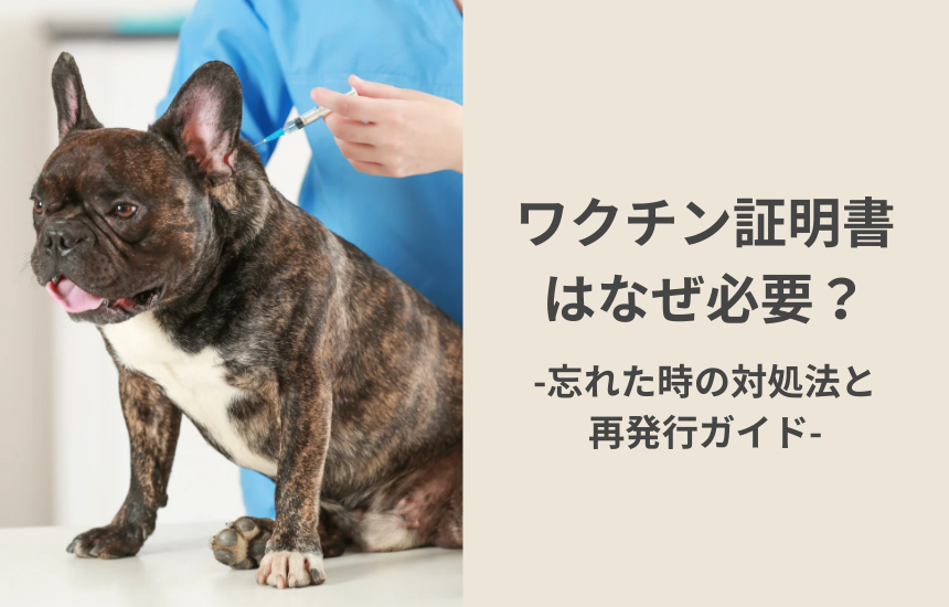 ワクチン証明書はなぜ必要？忘れた時の対処法と再発行ガイド