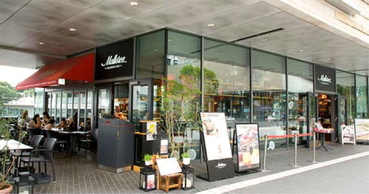 Mallorca（マヨルカ）二子玉川