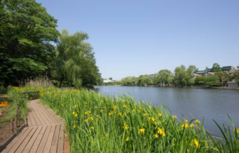 【練馬】緑に癒される！犬連れで行ける人気スポット5選