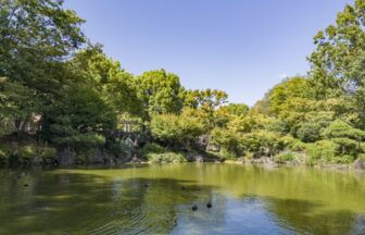 府中の森公園