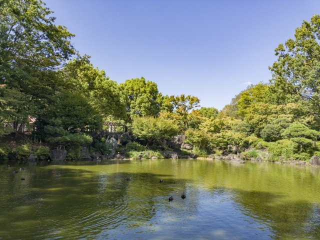 府中の森公園