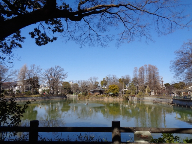 碑文谷公園