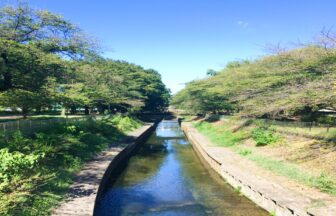善福寺川緑地