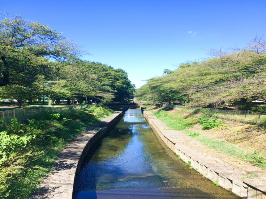 善福寺川緑地