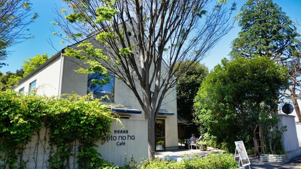 野菜倶楽部 オトノハカフェ