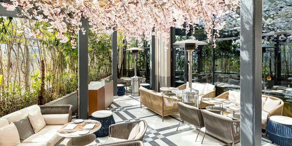 District Brasserie, Bar, Lounge