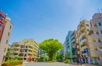 早大通りの並木道