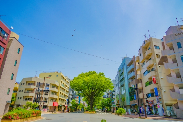 早大通りの並木道